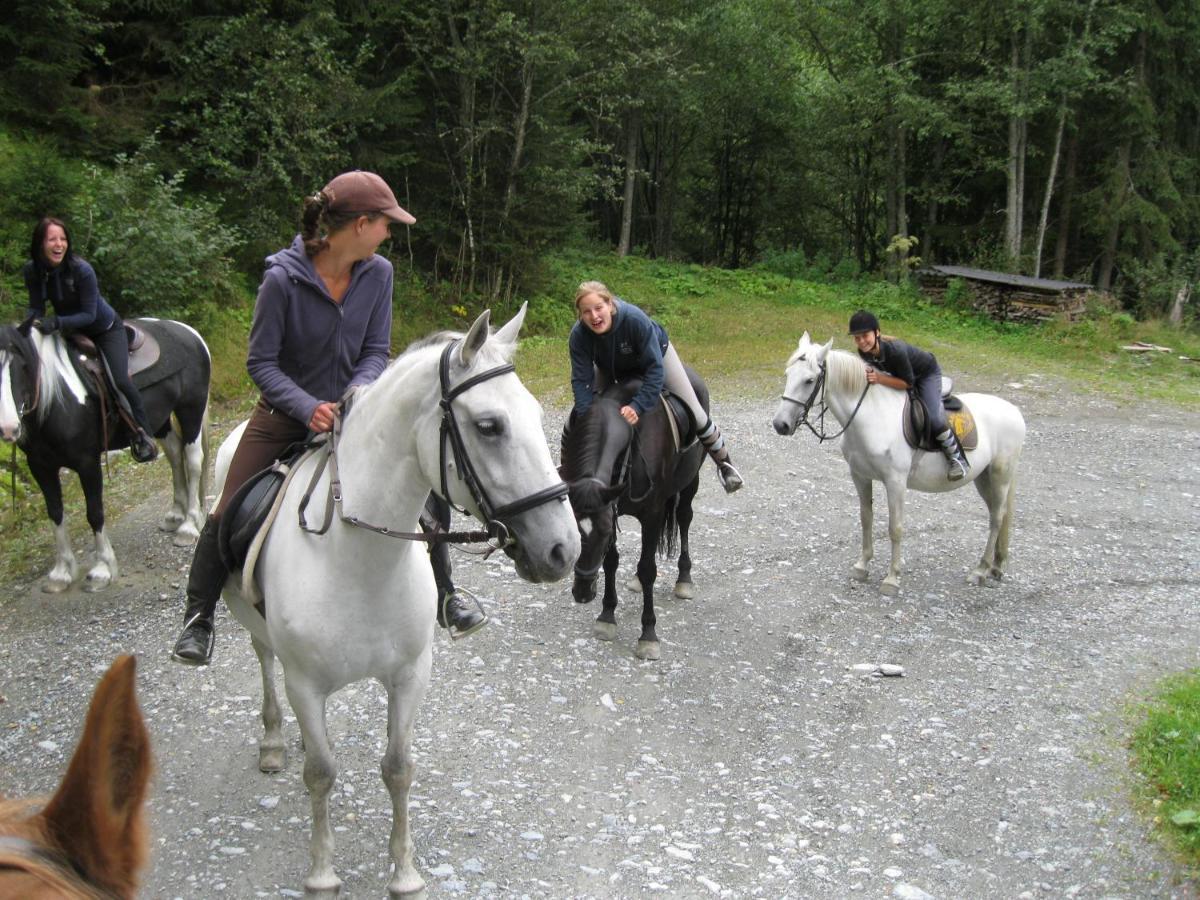 Hotel Altachhof Und - Jokercard Im Sommer Inklusive 3*