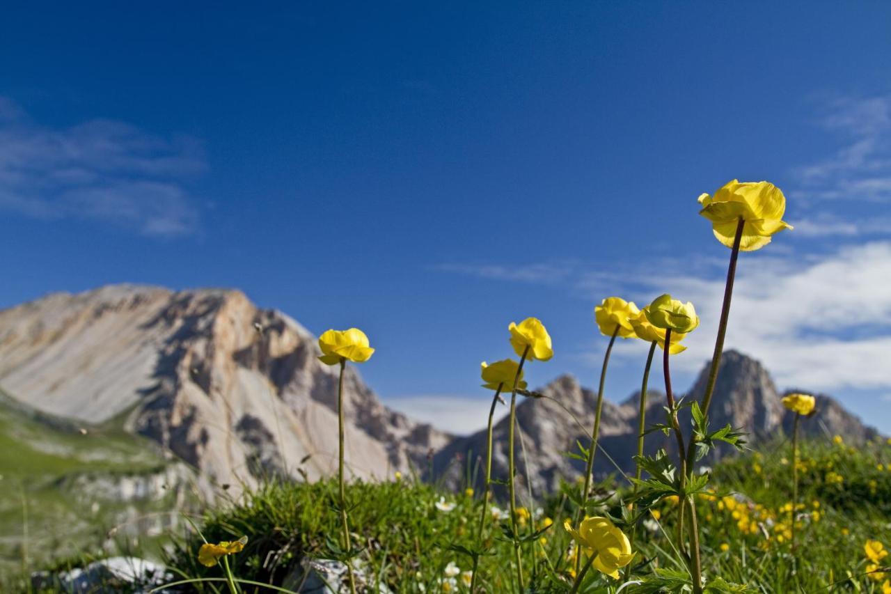 Altachhof Und - Jokercard Im Sommer Inklusive 3* Saalbach-Hinterglemm