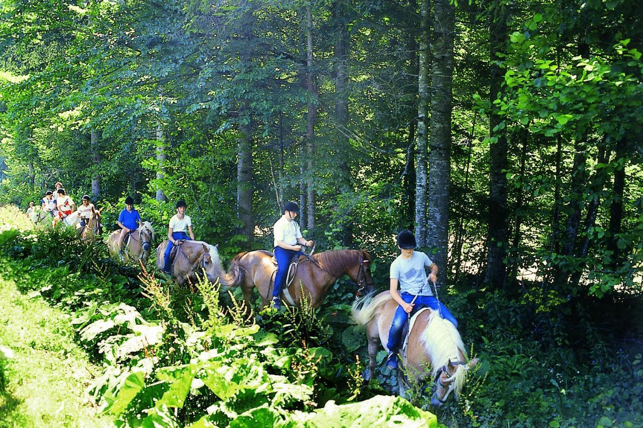 Hotel Altachhof Und - Jokercard Im Sommer Inklusive 3*