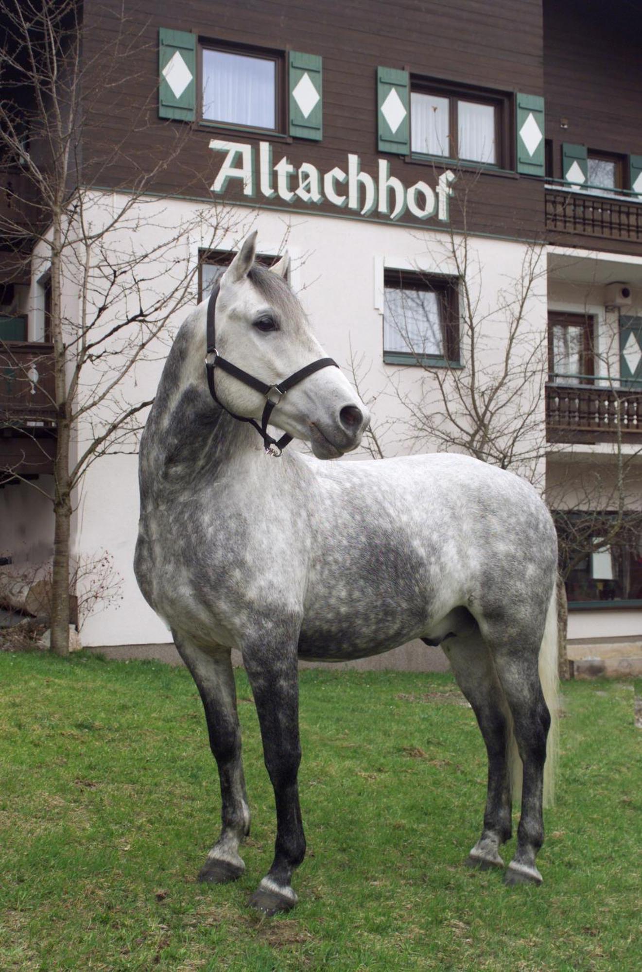 Hotel Altachhof Und - Jokercard Im Sommer Inklusive 3*